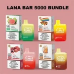 LANA_BAR_5000_puffs-拋棄式電子煙